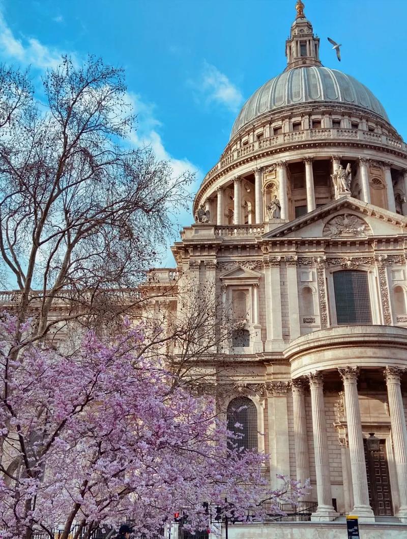 韩国科学技术院大学